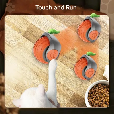 FurryFusion Balle interactive pour chat