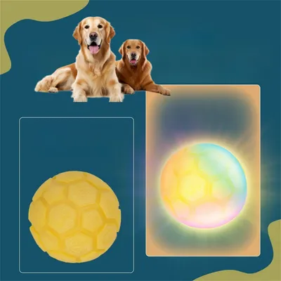 FurryFusion Boule de caoutchouc lumineuse pour chien