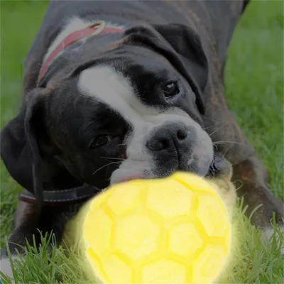 FurryFusion Boule de caoutchouc lumineuse pour chien