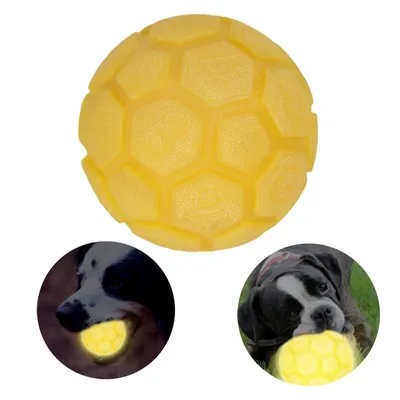 FurryFusion Boule de caoutchouc lumineuse pour chien