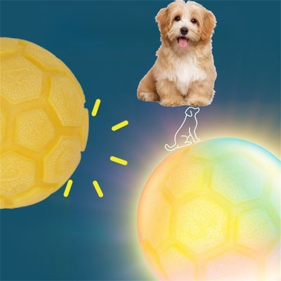 FurryFusion Boule de caoutchouc lumineuse pour chien