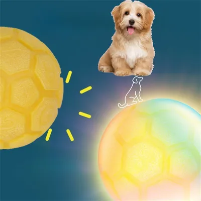 FurryFusion Boule de caoutchouc lumineuse pour chien