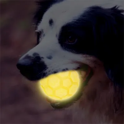 FurryFusion Boule de caoutchouc lumineuse pour chien