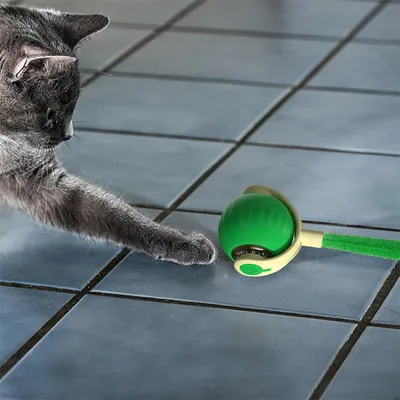 FurryFusion Jouet à bille roulante pour chat