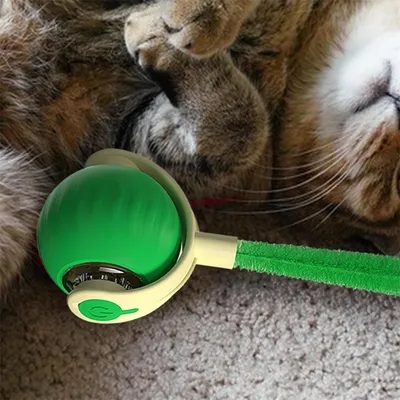 FurryFusion Jouet à bille roulante pour chat