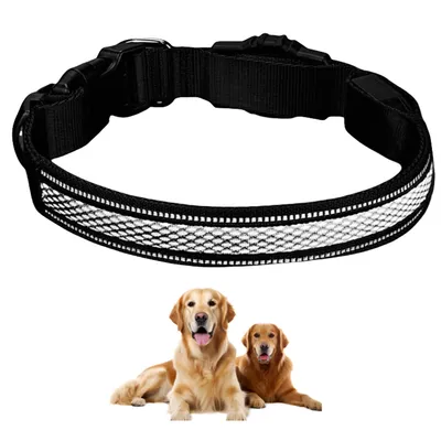 FurryFusion Collier pour chien avec lumineux FurryFusion Collier pour chien avec lumineux