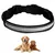 FurryFusion Collier pour chien avec lumineux FurryFusion Collier pour chien avec lumineux