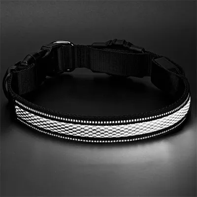 FurryFusion Collar para perros con luz