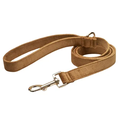 FurryFusion Collier et corde pour chien