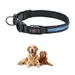 FurryFusion Collier pour chien avec lumineux