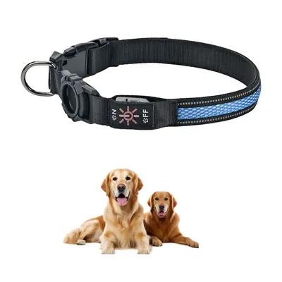 FurryFusion Collier pour chien avec lumineux