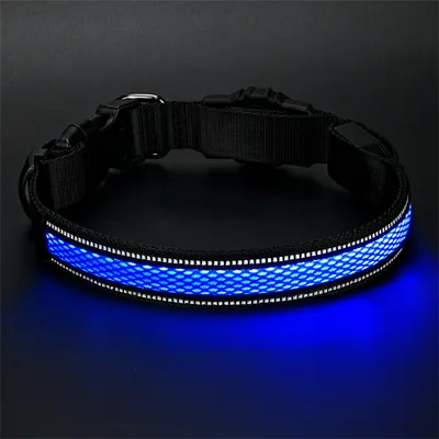 FurryFusion Collier pour chien avec lumineux