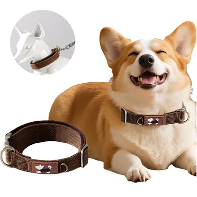 FurryFusion - Collier double pour chien FurryFusion - Collier double pour chien