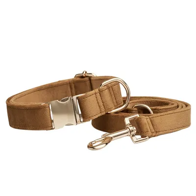 FurryFusion Collier et corde pour chien