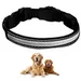 FurryFusion Collier pour chien avec lumineux