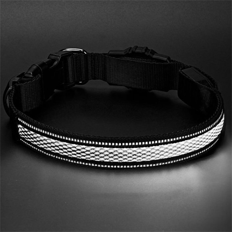 FurryFusion Collier pour chien avec lumineux
