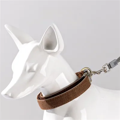FurryFusion - Collier double pour chien