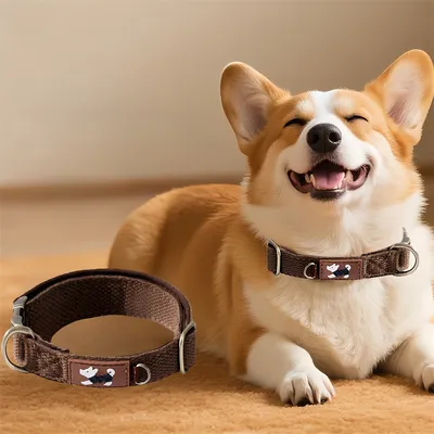 FurryFusion - Collier double pour chien