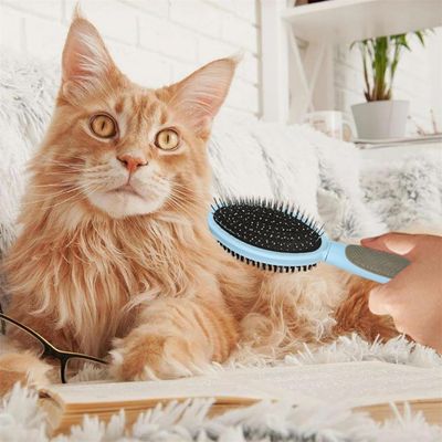 FurryFusion Brosse de toilettage pour chien double face