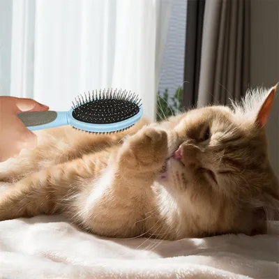 FurryFusion Brosse de toilettage pour chien double face