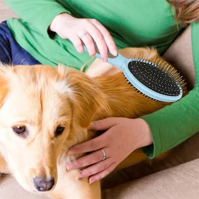 FurryFusion Brosse de toilettage pour chien double face