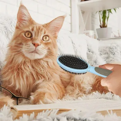 FurryFusion Brosse de toilettage pour chien double face