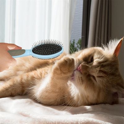 FurryFusion Brosse de toilettage pour chien double face