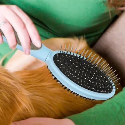 FurryFusion Brosse de toilettage pour chien double face
