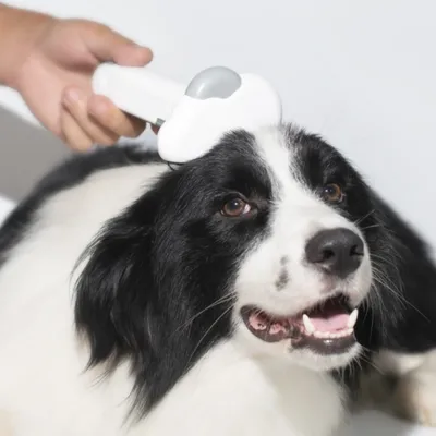 FurryFusion Brosse de toilettage 3 en 1 pour chien et chat