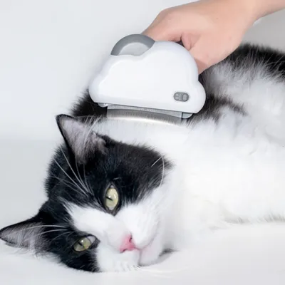 FurryFusion Brosse de toilettage 3 en 1 pour chien et chat