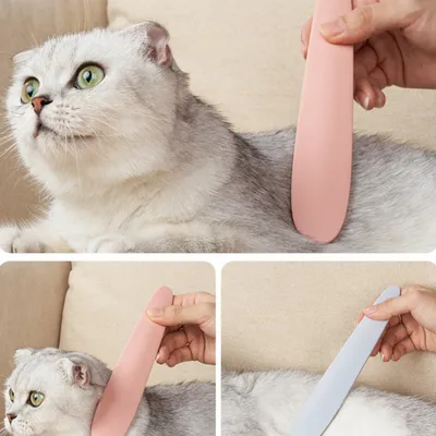 FurryFusion Peigne à langue de chat pour chat