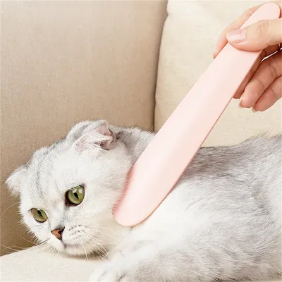 FurryFusion Peigne à langue de chat pour chat