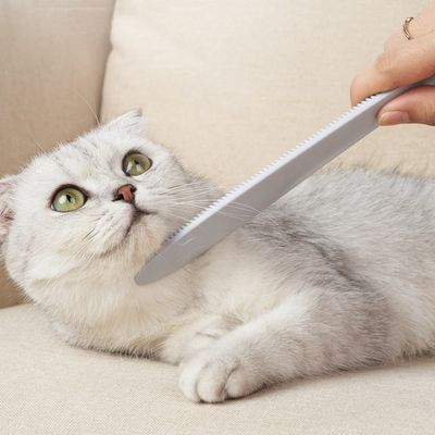 FurryFusion Peigne à langue de chat pour chat