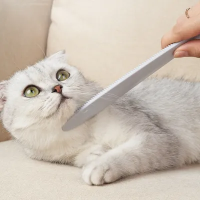 FurryFusion Peigne à langue de chat pour chat