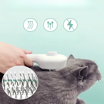 FurryFusion Peigne à rayons UV pour chats
