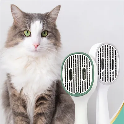 FurryFusion Peigne à rayons UV pour chats