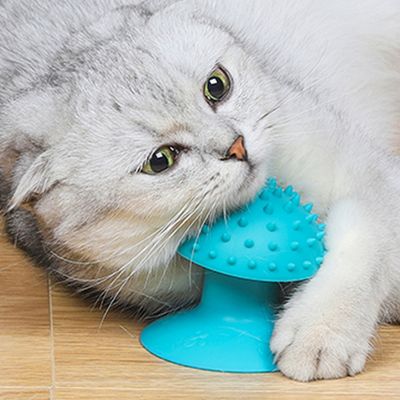 FurryFusion Brosse de toilettage pour chat