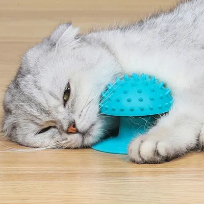 FurryFusion Brosse de toilettage pour chat