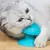FurryFusion Brosse de toilettage pour chat
