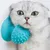 FurryFusion Brosse de toilettage pour chat