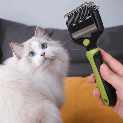 FurryFusion Brosse de toilettage pour animaux de compagnie