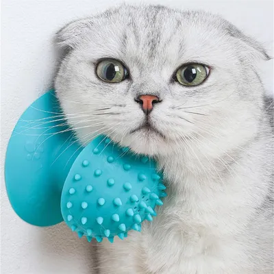 FurryFusion Brosse de toilettage pour chat