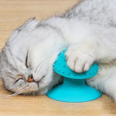 FurryFusion Brosse de toilettage pour chat