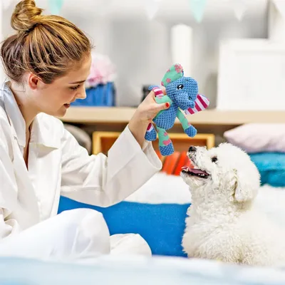 FurryFusion Jouet peluche pour chiens