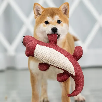 FurryFusion Jouet en peluche crocodile pour chien