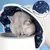 FurryFusion Collerette anti - morsure pour chat