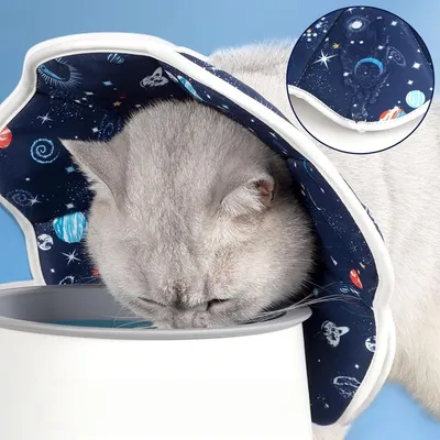 FurryFusion Collerette anti - morsure pour chat