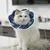 FurryFusion Collerette anti - morsure pour chat