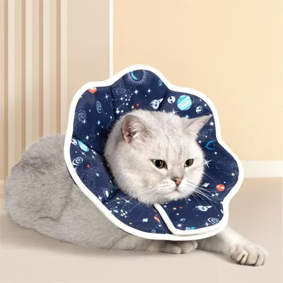 FurryFusion Collerette anti - morsure pour chat