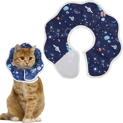 FurryFusion Collerette anti - morsure pour chat